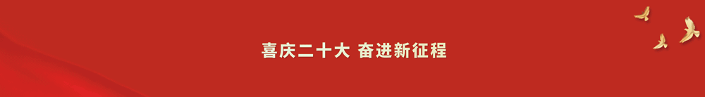 中国共产党第二十次全国代表大会在欧冠