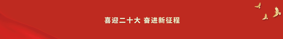 对照阅读今天