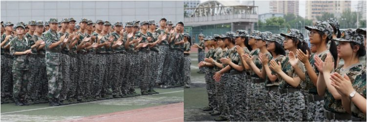 破茧而出，化蝶共舞