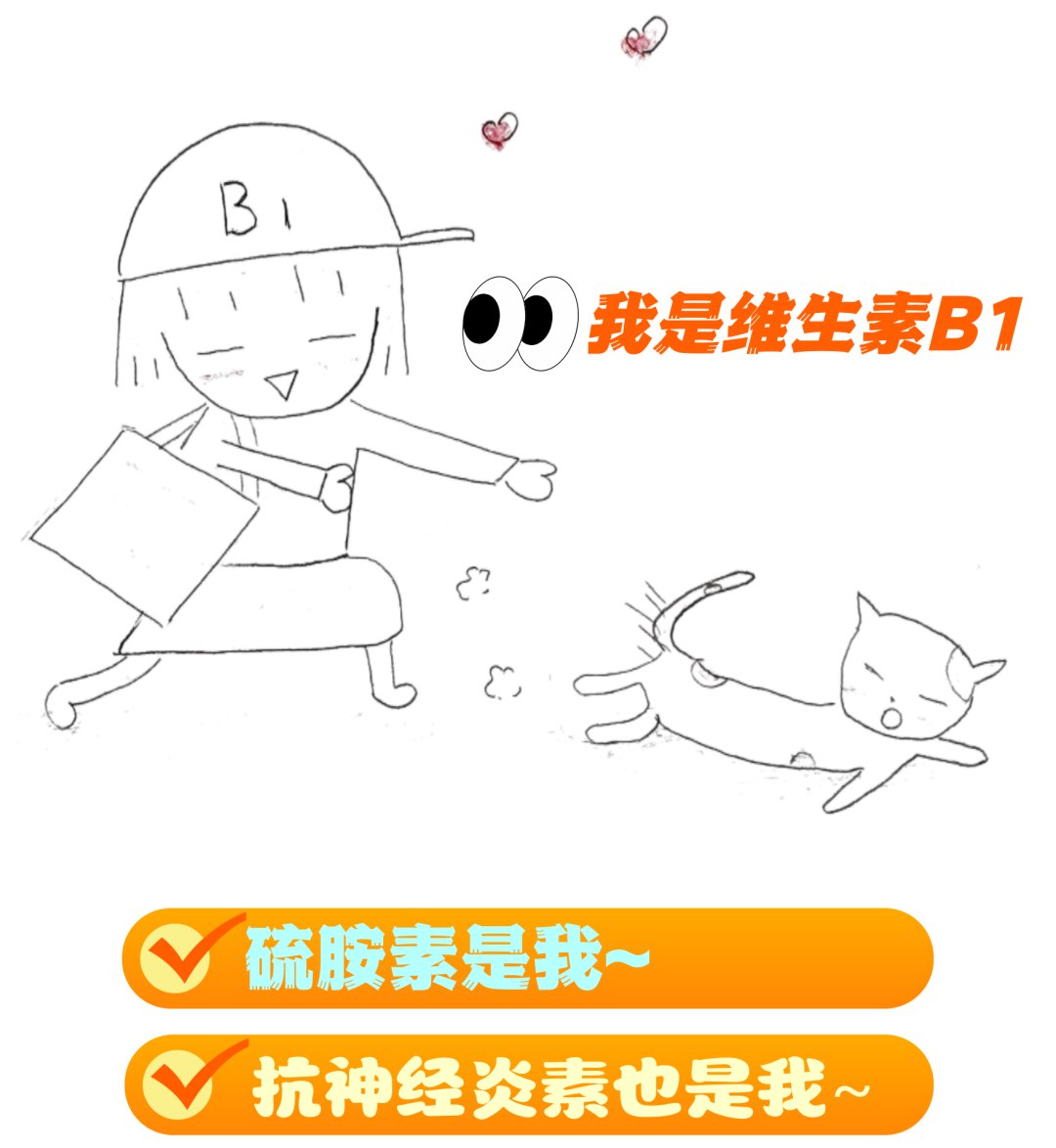 又名硫胺素或称抗神经炎素
