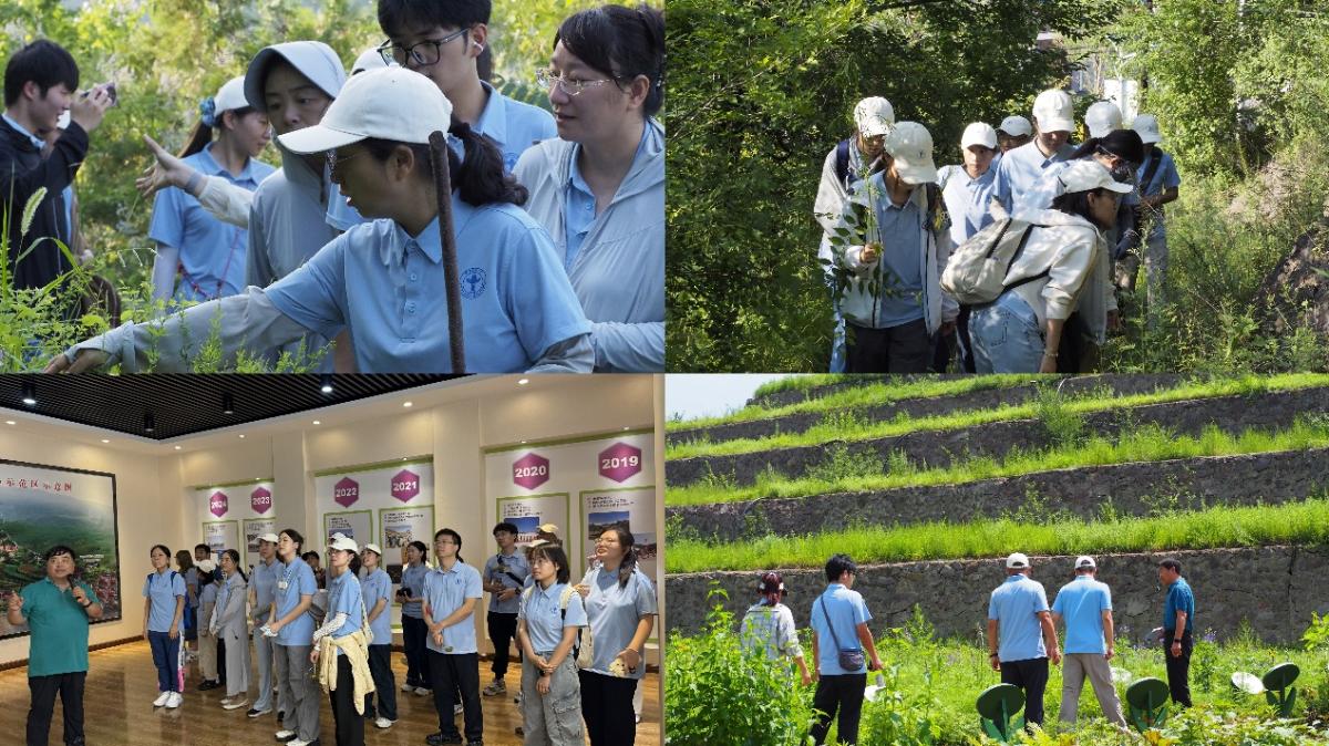 团队成员包括中医临床基础学学系