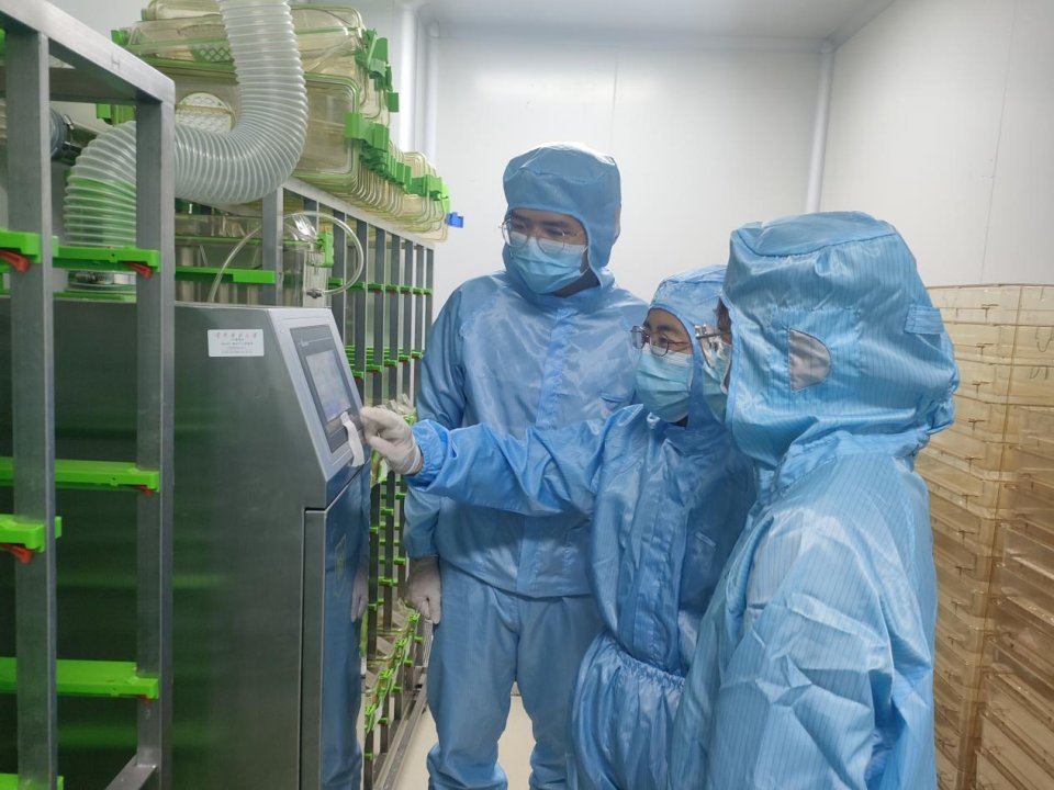 记者深入暑期一线