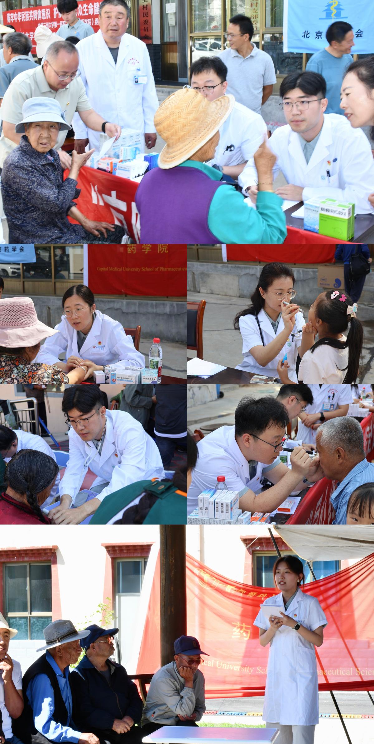 格桑花灿烂绽放