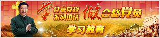 正文适合核对表述